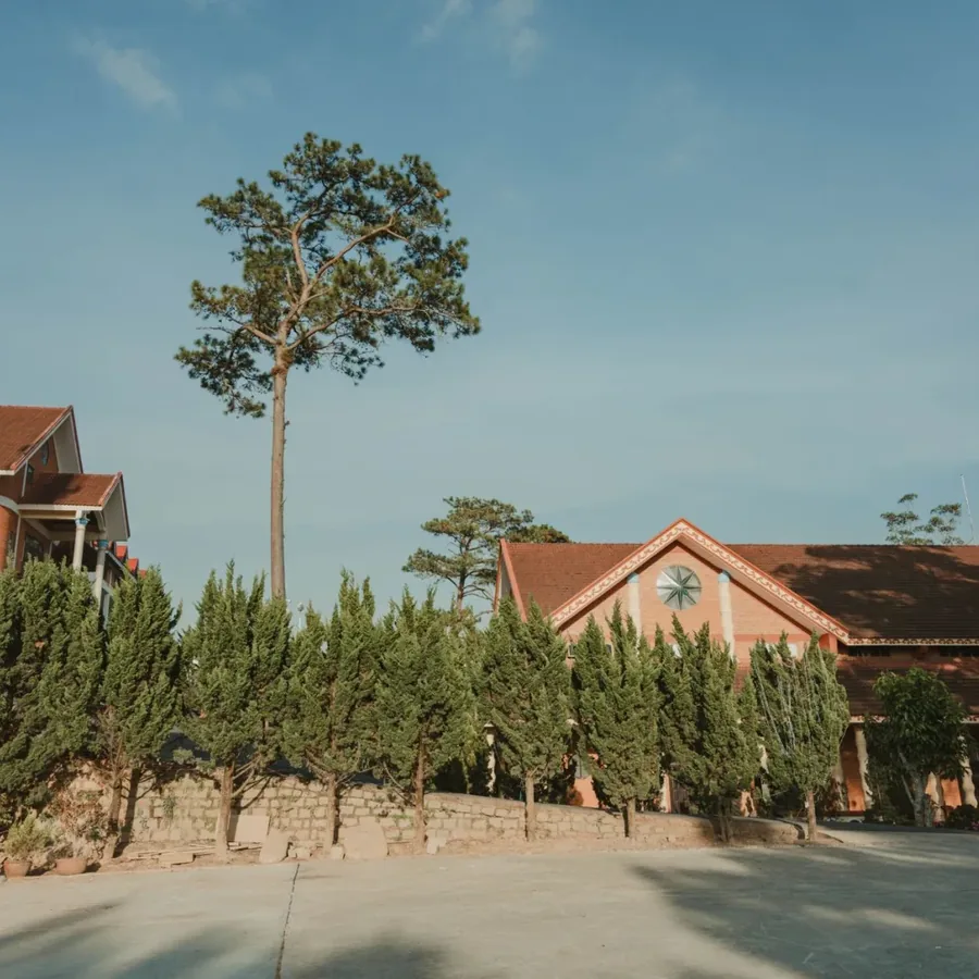 Sân vườn buổi chiều